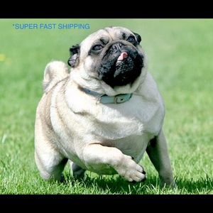 SUPER FAST SHIPPING!!